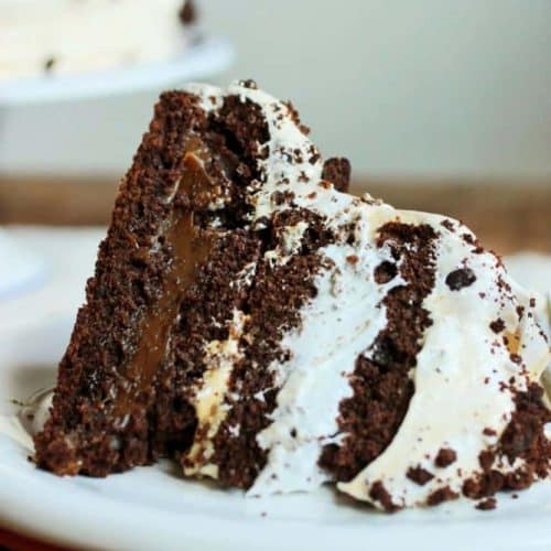 Rich Chocolate Meringue Gateau