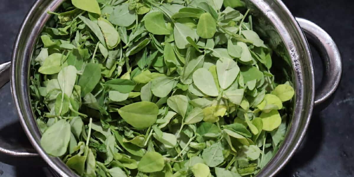 Fenugreek Leaves