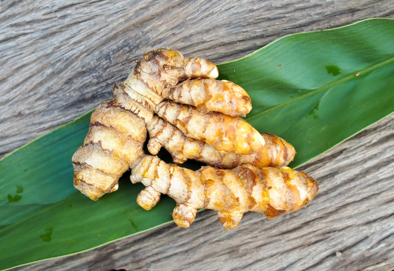 Turmeric Leaves