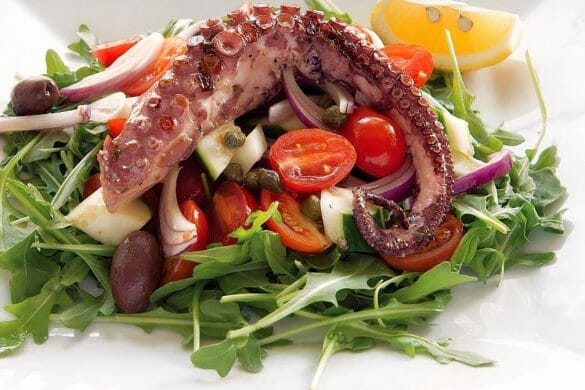 Baby Octopus and Herb Salad