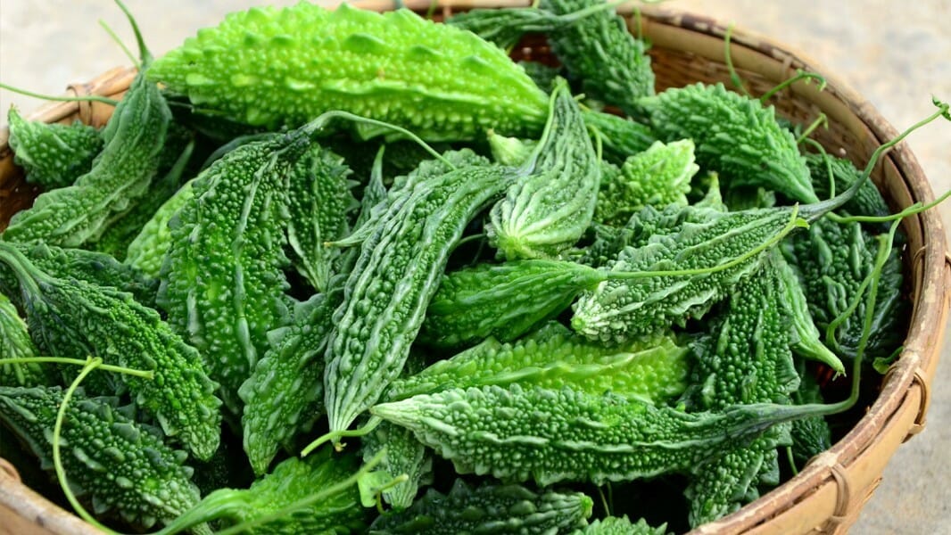 Bitter Gourd / Karela / Pavakkai