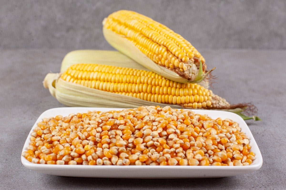 Corn
