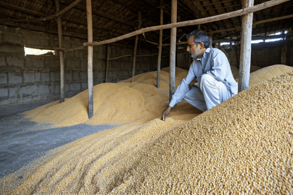 Efficient Methods of Storage of Grains