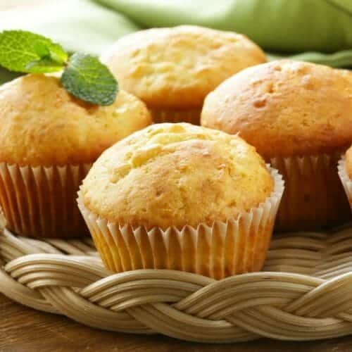 Vanilla Cupcakes