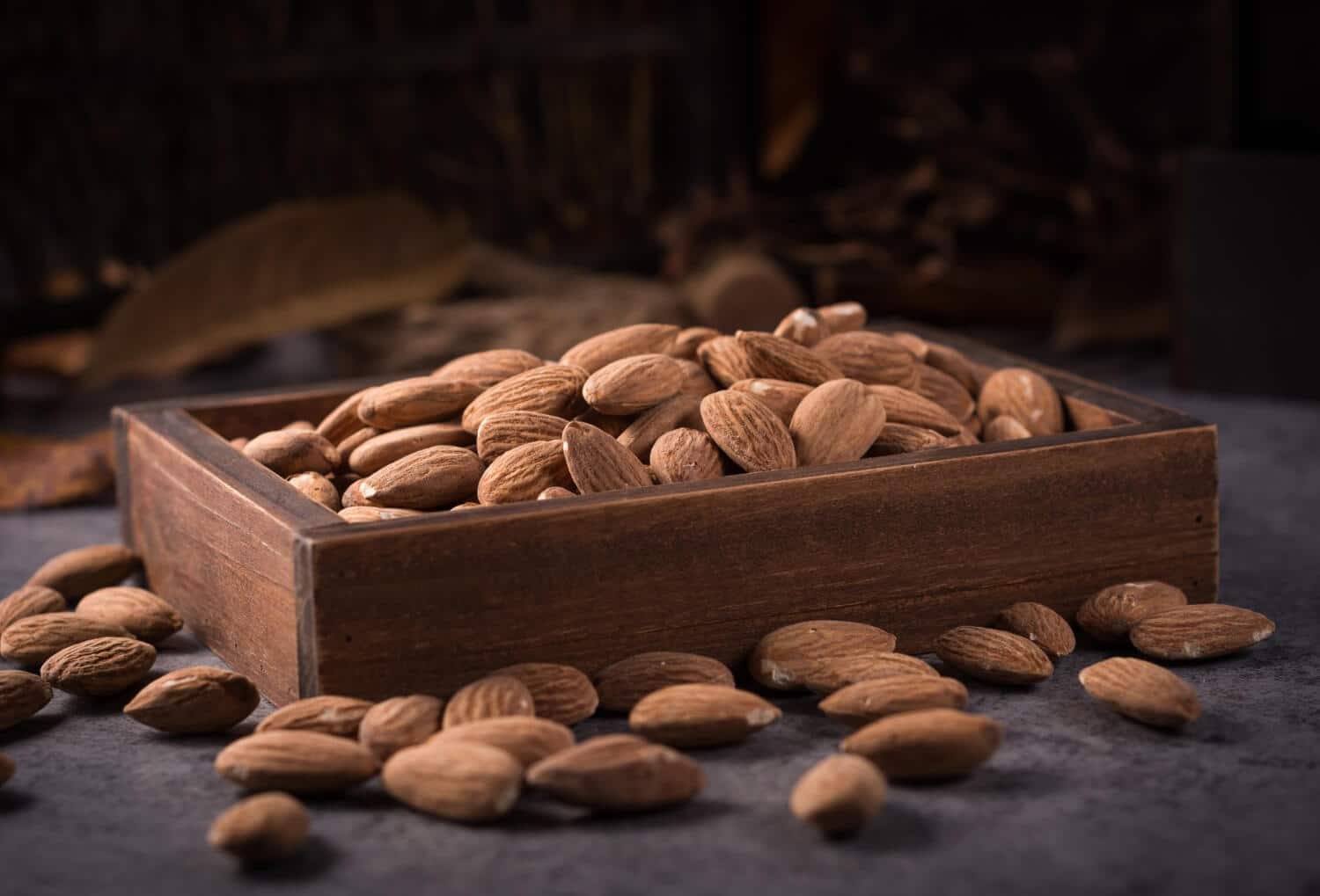What are the Best Fat-Burning Foods to Include in Your Diet? 5 Almonds