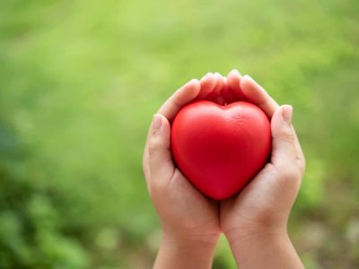 Which Heart Healthy Foods Should You Eat Daily?