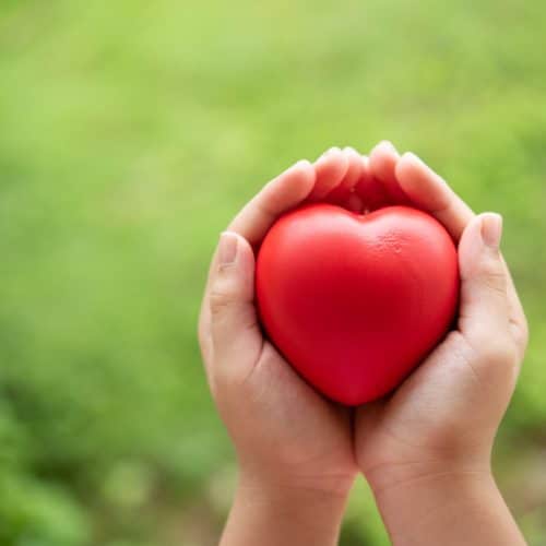 Which Heart Healthy Foods Should You Eat Daily? 18 A small heart shaped figure held in hands