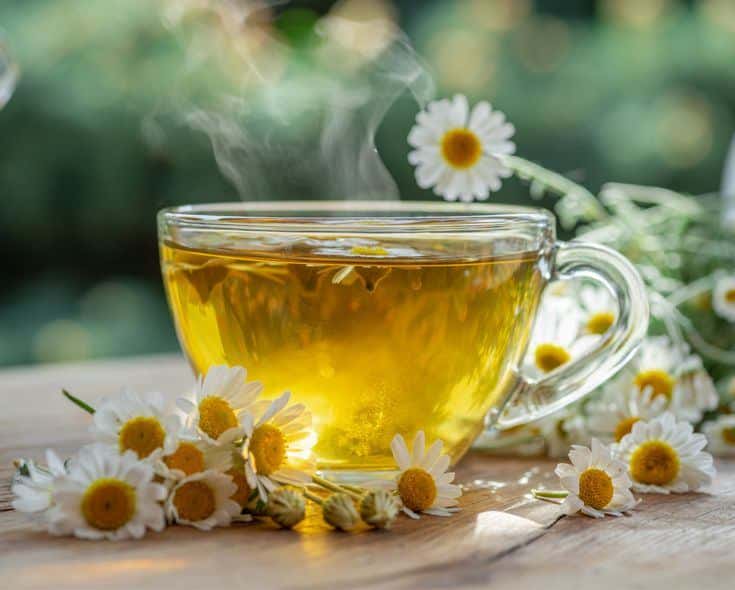 What Are The 12 Health Benefits of Tea Backed by Science? 4 Chamomile Tea Calming Herbal Tea for Relaxation