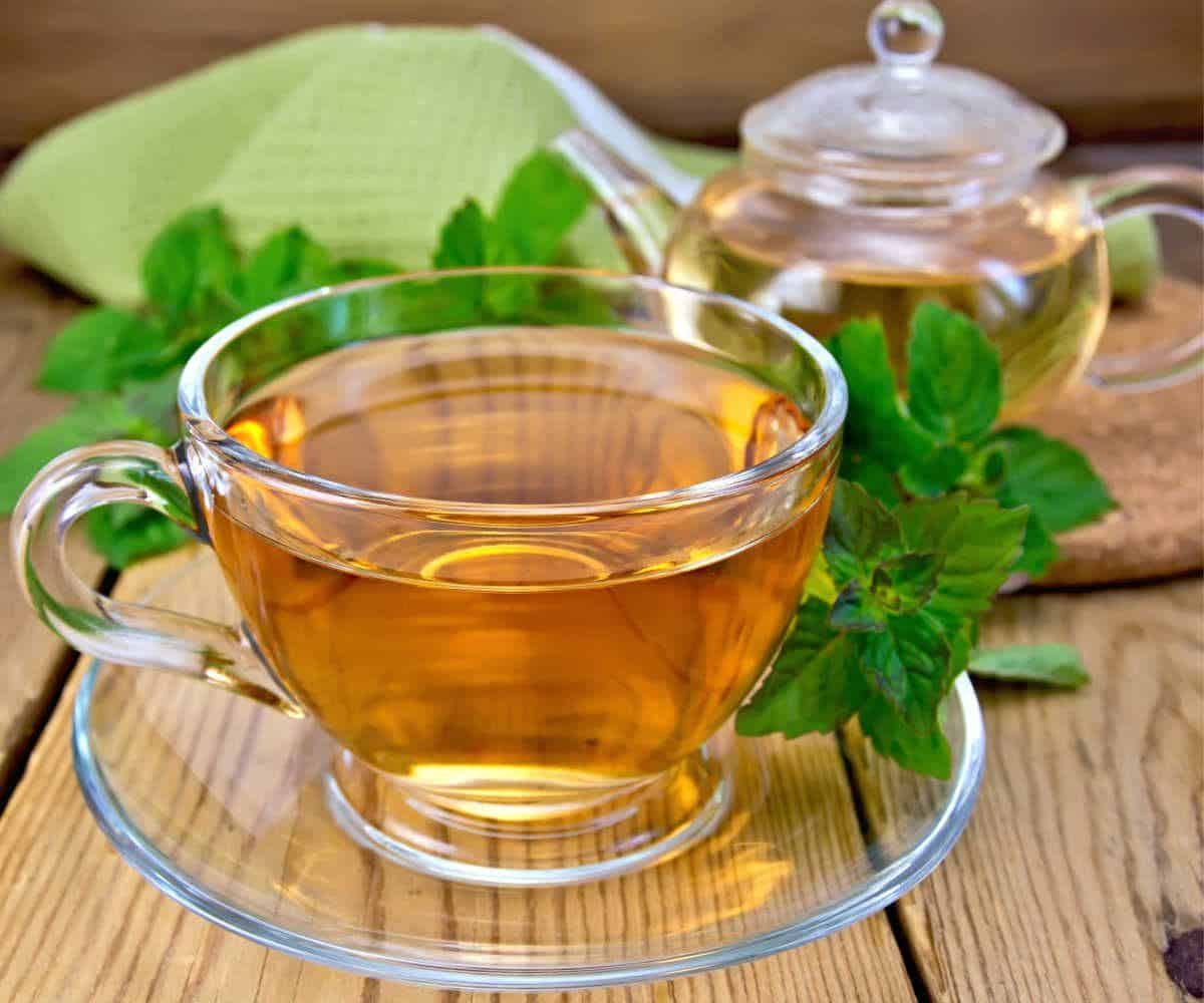 What Are The 12 Health Benefits of Tea Backed by Science? 5 Fresh mint tea in a glass cup with mint leaves and teapot in the background