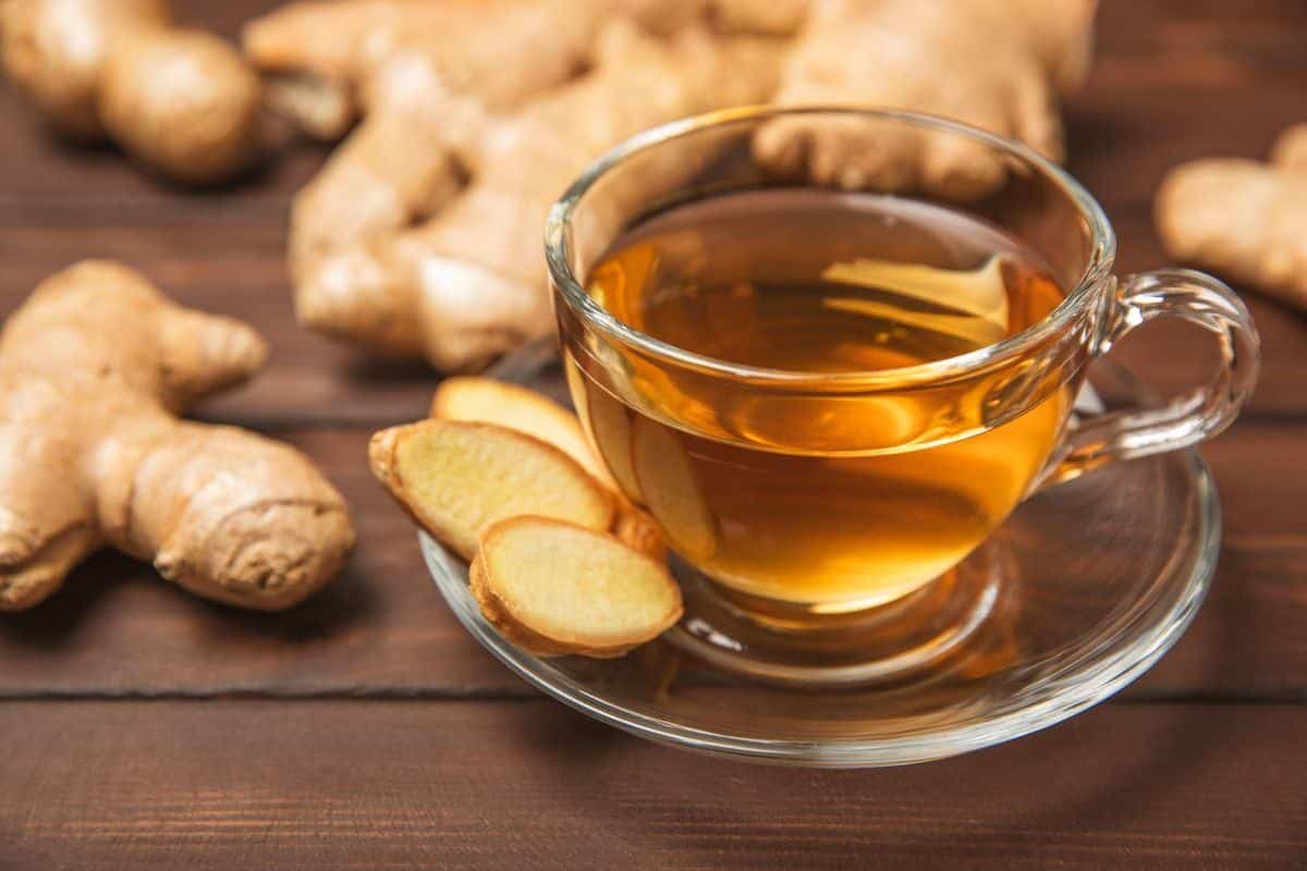 What Are The 12 Health Benefits of Tea Backed by Science? 3 Ginger Tea Natural Digestive Herbal Drink