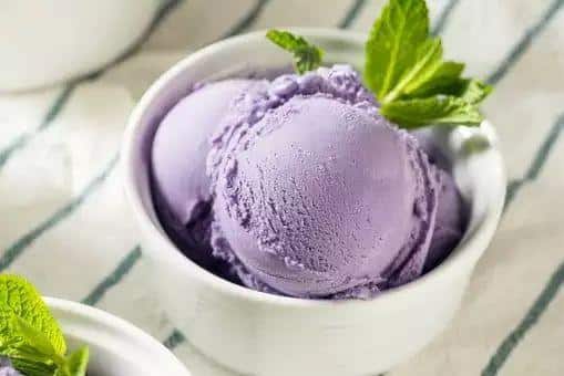 What Are 10 Powerful Jamun Benefits You Should Know? 4 Jamun Ice Cream Creamy Black Plum Dessert