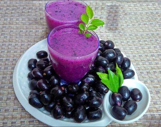 What Are 10 Powerful Jamun Benefits You Should Know? 3 Jamun Smoothie Healthy Black Plum Drink