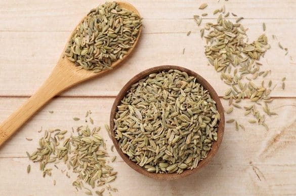 Which Fennel Seeds Benefits Matter Most?