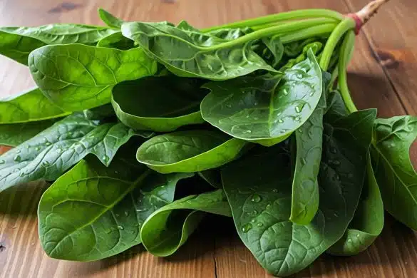 What are the Top Spinach Benefits for Health?