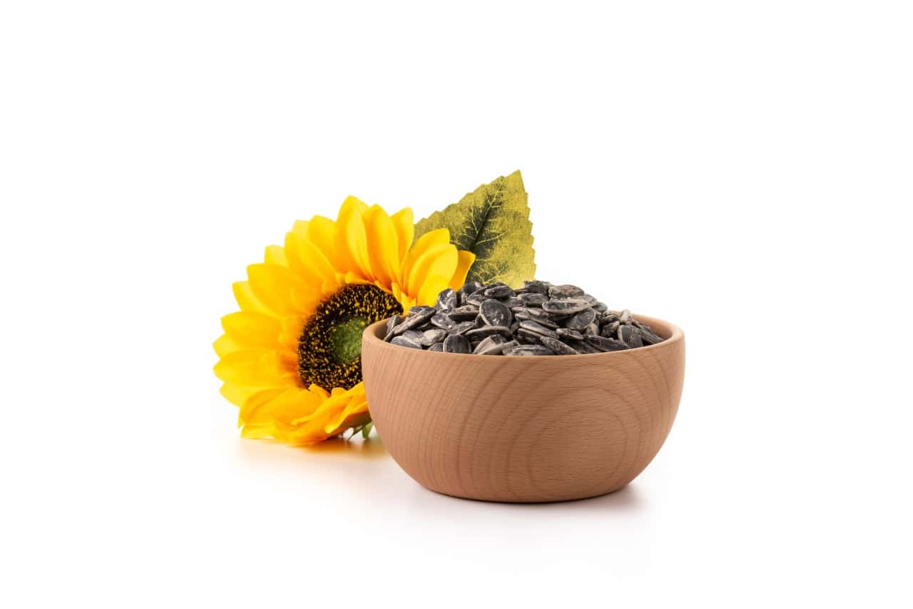 What Are the Best Food to Increase Hemoglobin For Diabetic Patient? 11 sunflower seeds