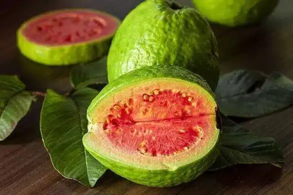 What are the Daily Guava Benefits You Can’t Ignore?