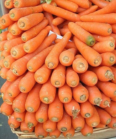 Carrot