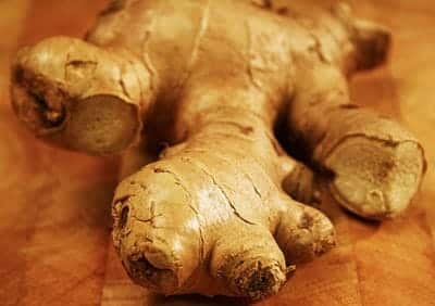இஞ்சி மொரபா Ginger2 - இஞ்சி மொரபா