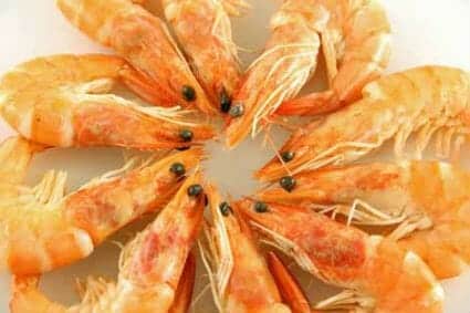 King Prawns