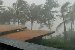Monsoon Delicacies