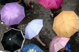Foods to Avoid During the Monsoon
