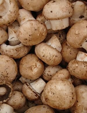 Mushrooms cooked in Vegetable Stock