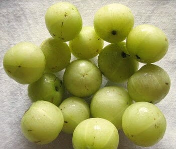 Nellikai / Amla / Gooseberry