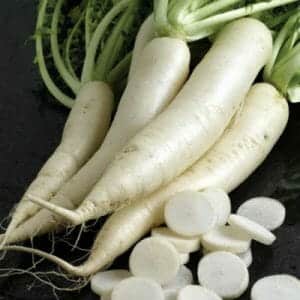Mula ni Kadhi