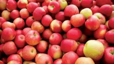 Health Benefits of Apple: What Actually Holds Up to Research