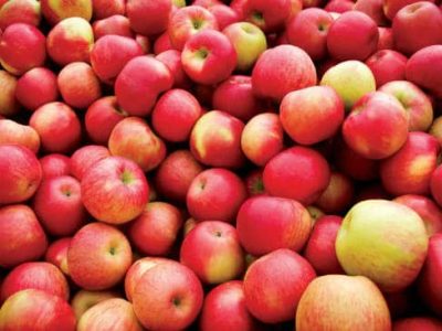 Health Benefits of Apple: What Actually Holds Up to Research