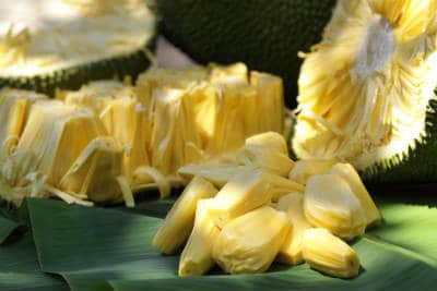 Baby Jackfruit