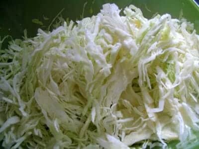 Cabbage