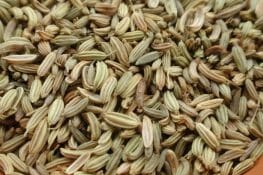 Health Benefits of Fennel Seeds