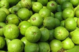 Health and Nutritional Benefits of Guava