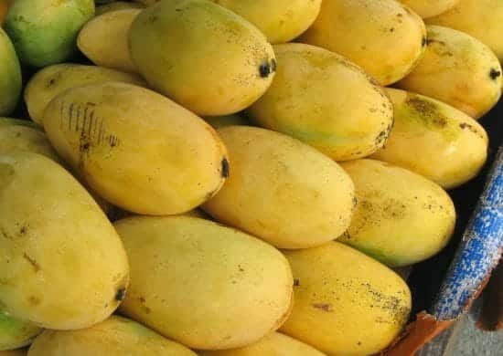 The Incredible Varieties of Mango
