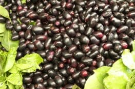 Health Benefits of Jamun