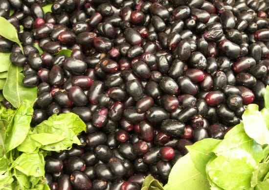Health Benefits of Jamun
