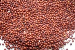 Health Benefits of Ragi