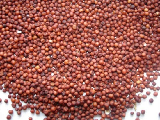 ragi