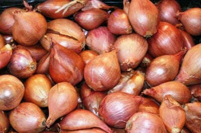 shallots