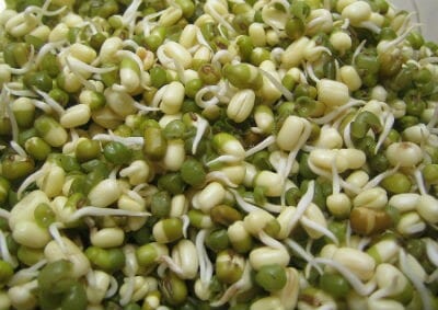Sprouted Green Gram / Mulai Payaru