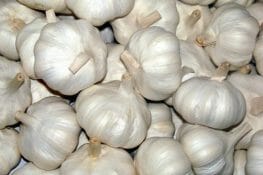 Why You Should Eat Garlic