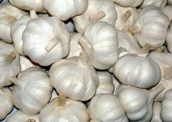 Why You Should Eat Garlic