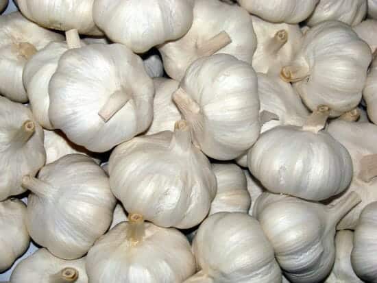 white garlic