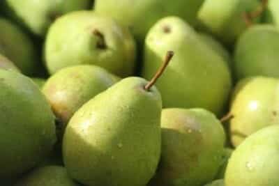 pears