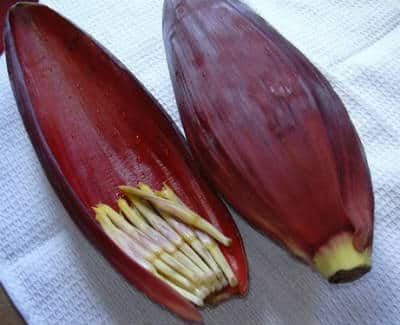 Vazhaipoo / Banana Flower