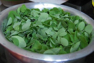 Murungai Keerai (Drumstick Leaves)