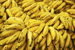 Health Benefits of Bananas