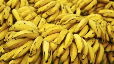 Health Benefits of Banana: What Ripe, Raw and Flower Each Bring to Your Plate