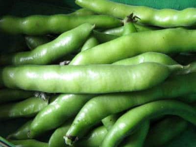 Baby Avarakkai (Broad Beans) Kootu